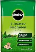 200M2 EVERGREEN FAST GREEN