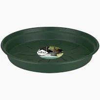 ELHO 25CM BASICS SAUCER GREEN D78685