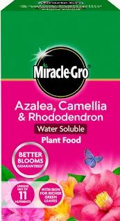 MIRACLE-GRO 500G ERICACEOUS PLANT FOOD