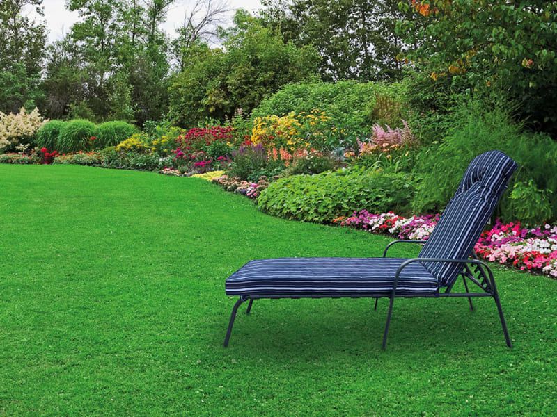 Home hardware lounger best sale